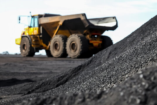 WhatsApp Image 2024-03-20 at 15.54.45